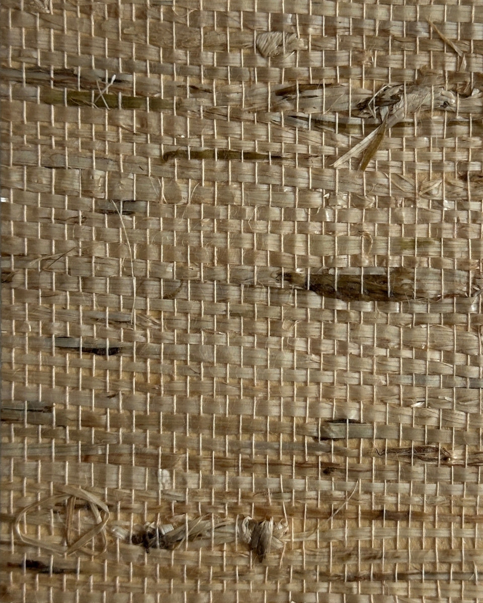 Arrowroot Wallpaper 17042 Coin