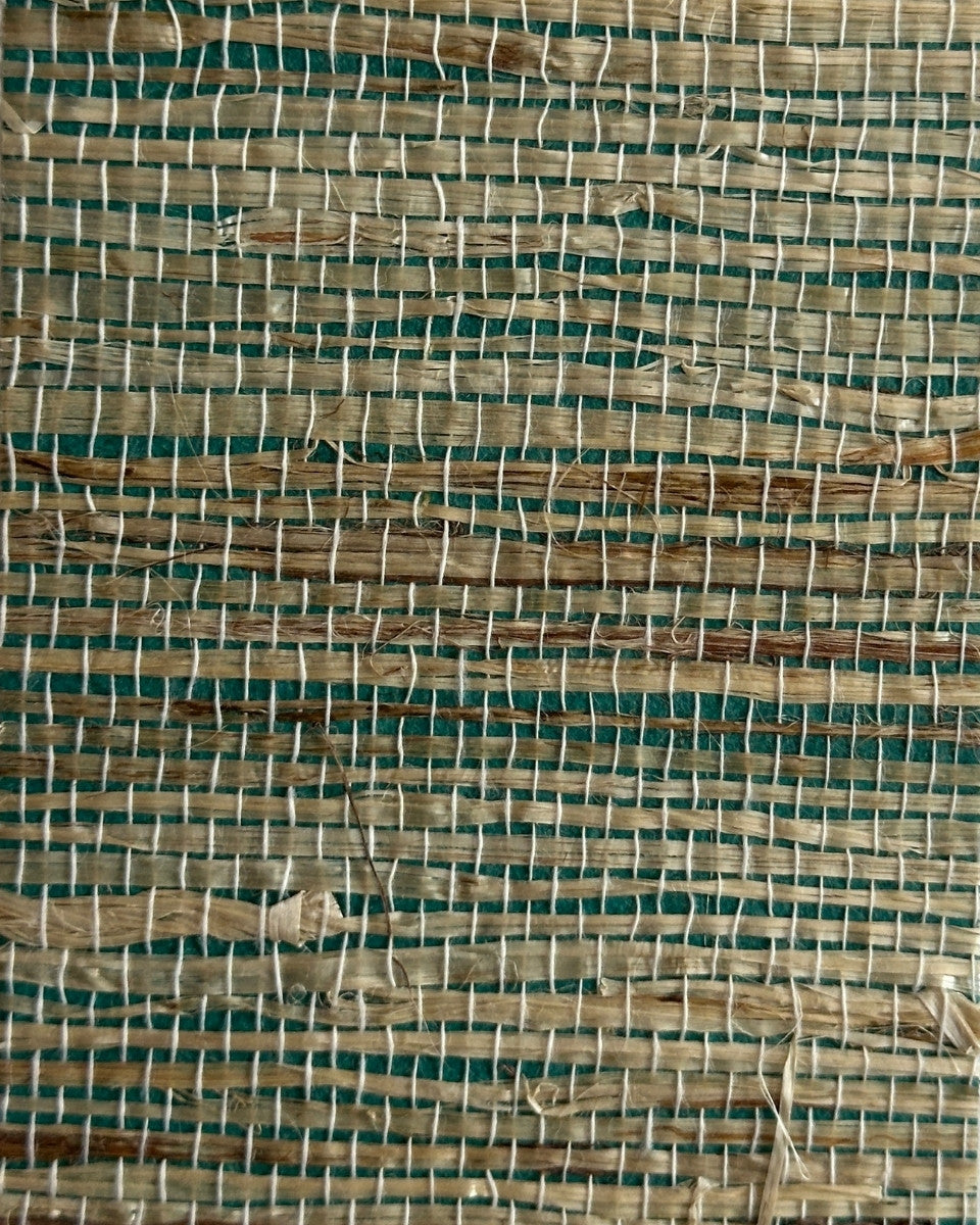 Arrowroot Wallpaper 17046 Atrovirens