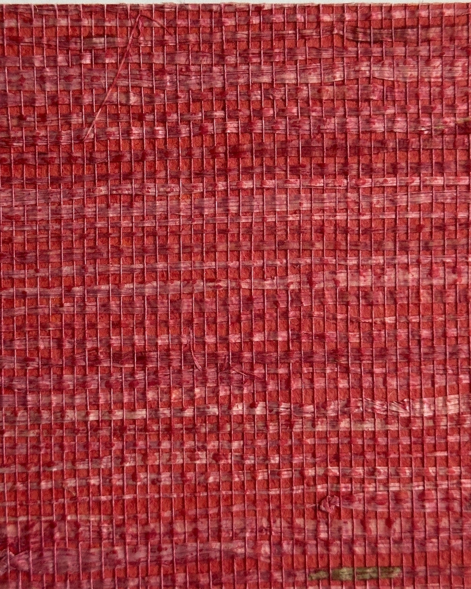Arrowroot Wallpaper 17050 Erythrine