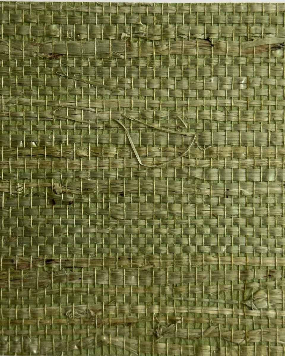 Arrowroot Wallpaper 17051 Verdant
