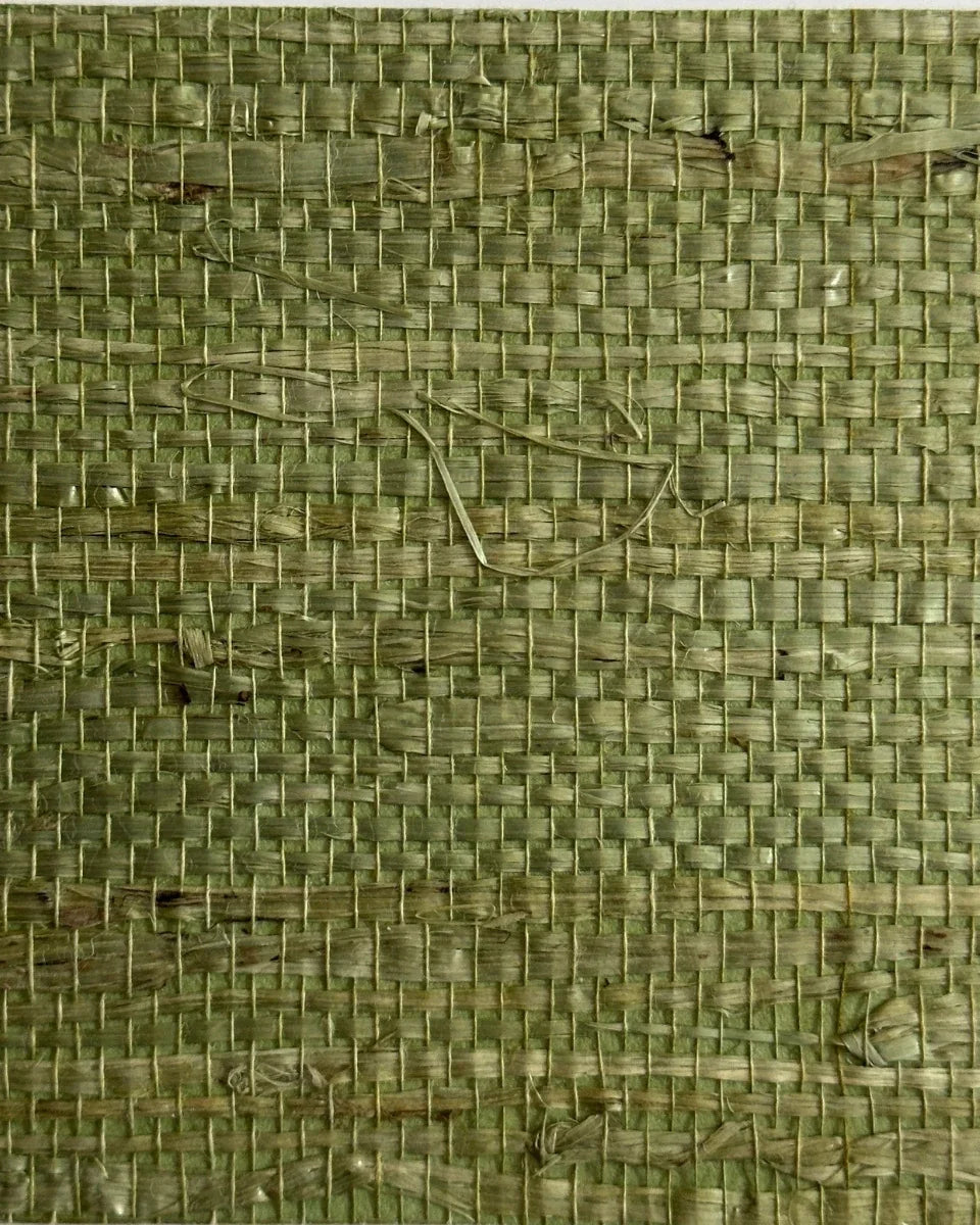 Arrowroot Wallpaper 17051 Verdant - Nāturae - Australia's Finest Natural Wallcoverings