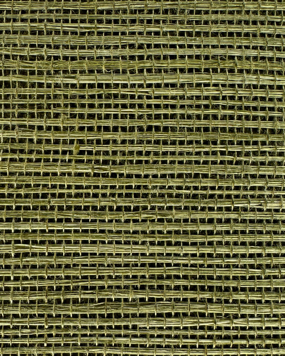 Sisal Grasscloth 1033 Mosstone