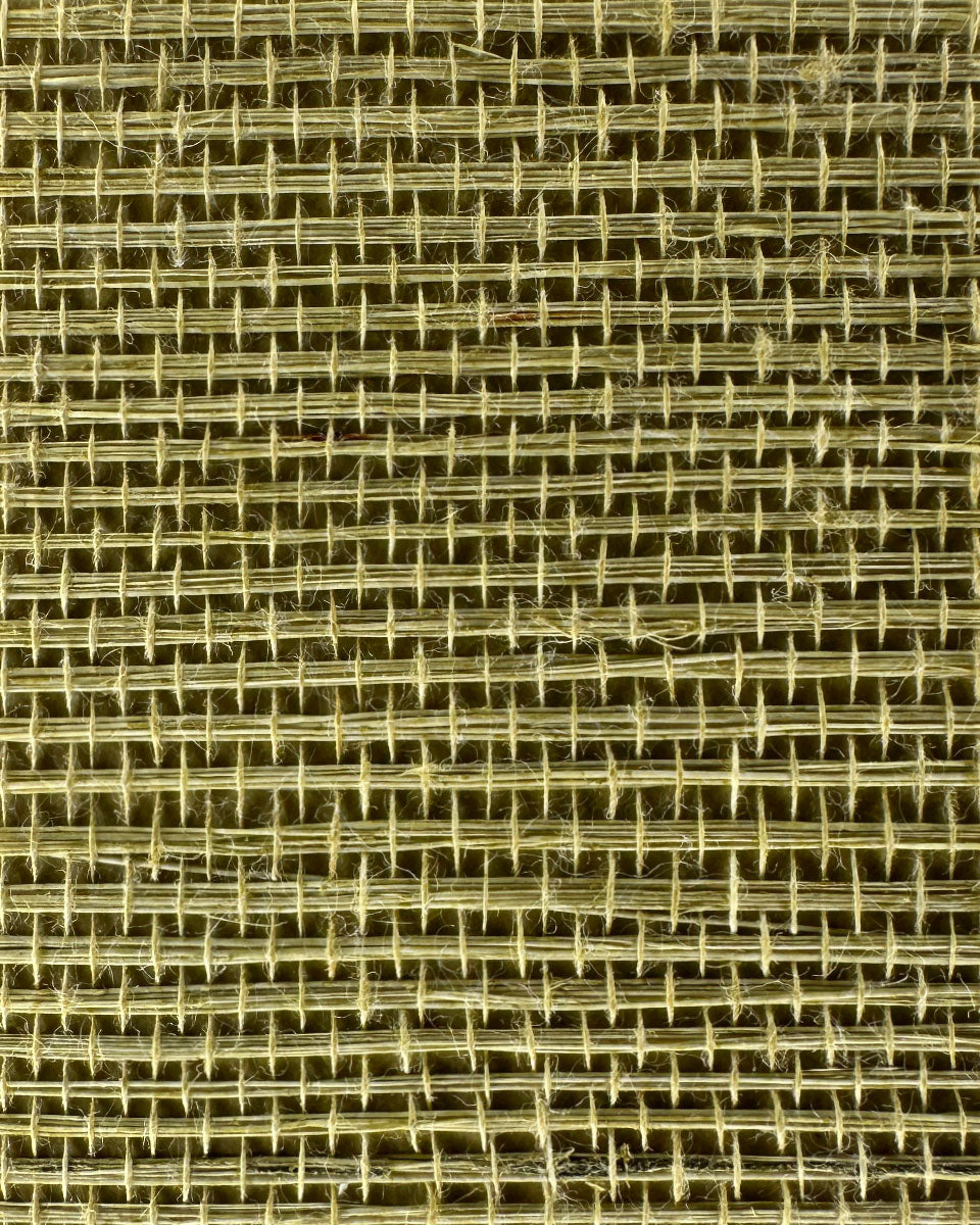 Sisal Grasscloth 1130 Weeping Willow