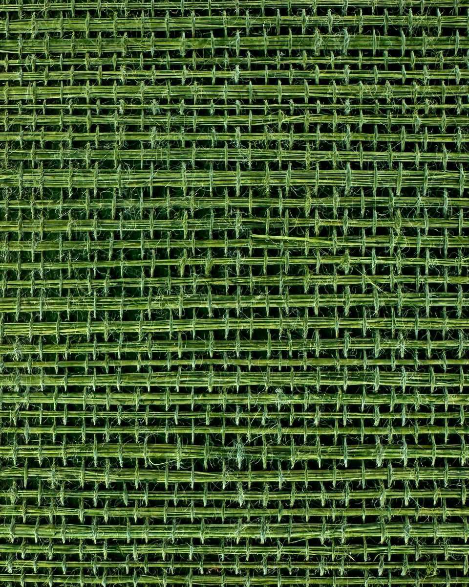 Sisal Grasscloth 7007 Treetop