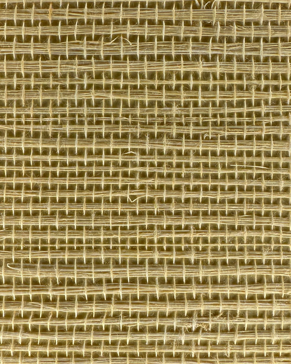 Sisal Grasscloth 1192 Beige
