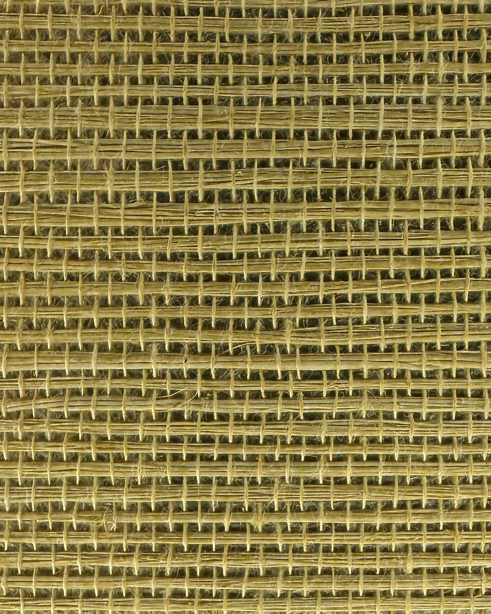 Sisal Grasscloth 2000 Misted Yellow