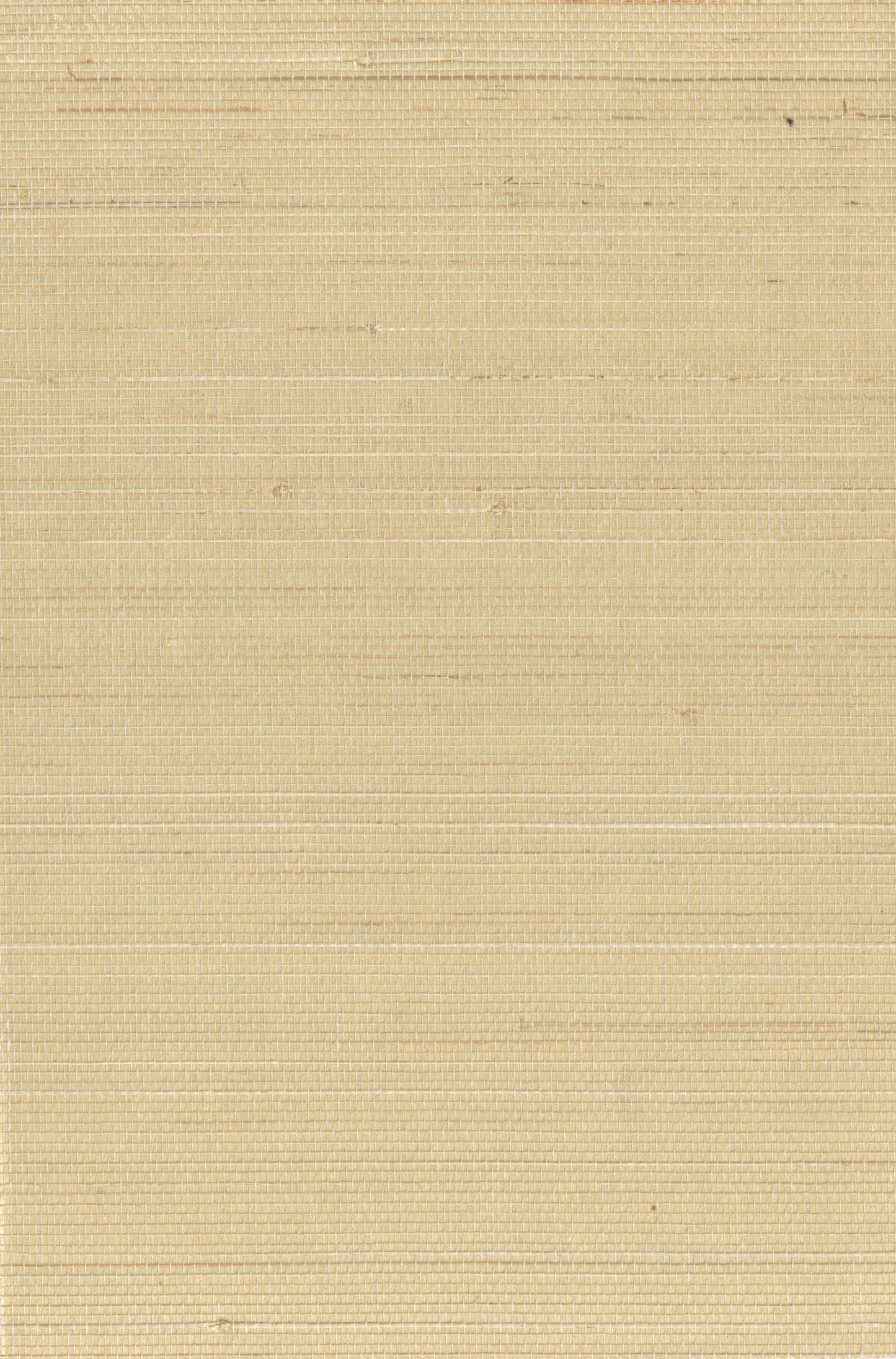 Abaca 0007 natural wallcovering swatch