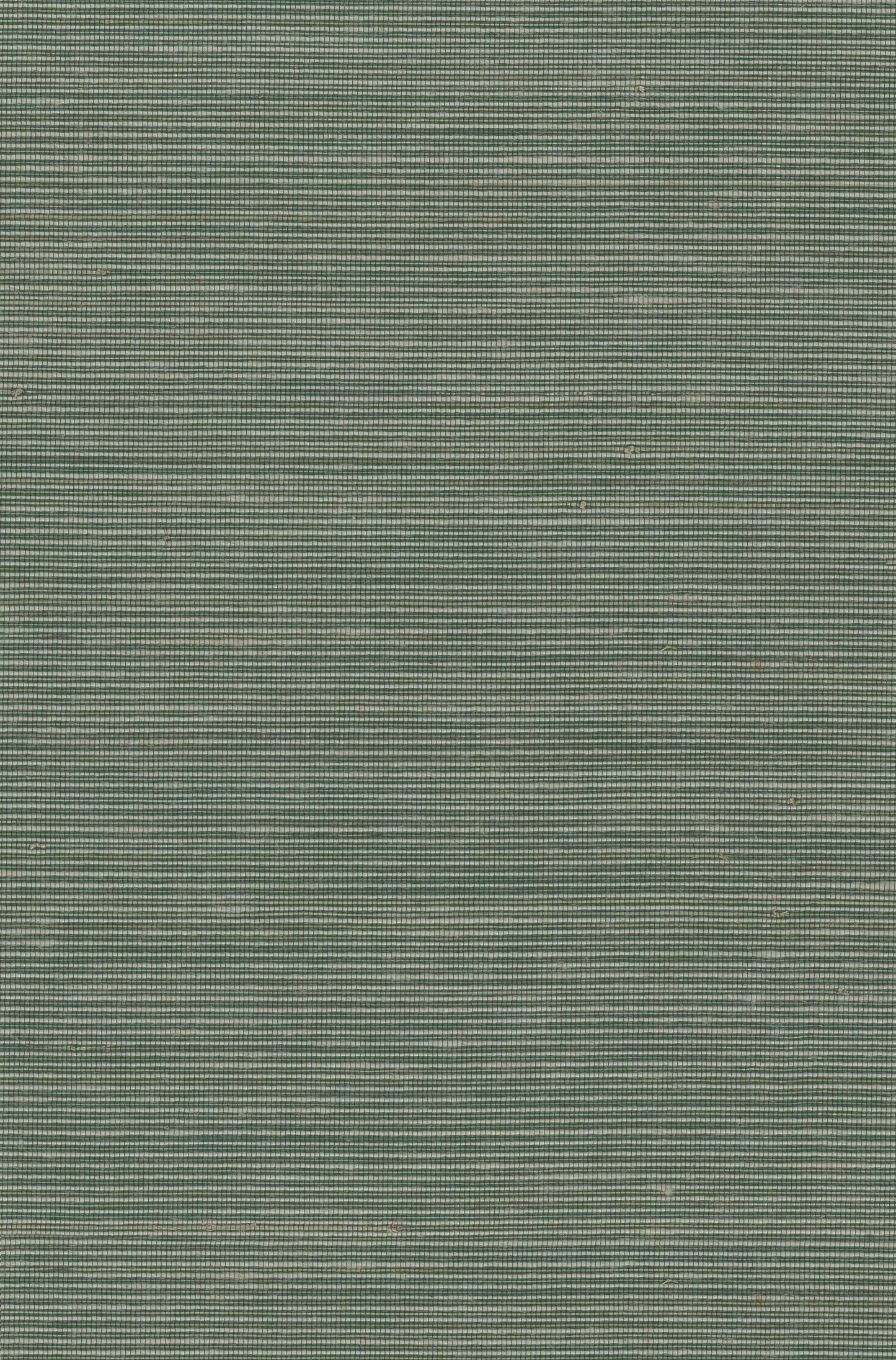 Abaca 2027 natural wallcovering swatch