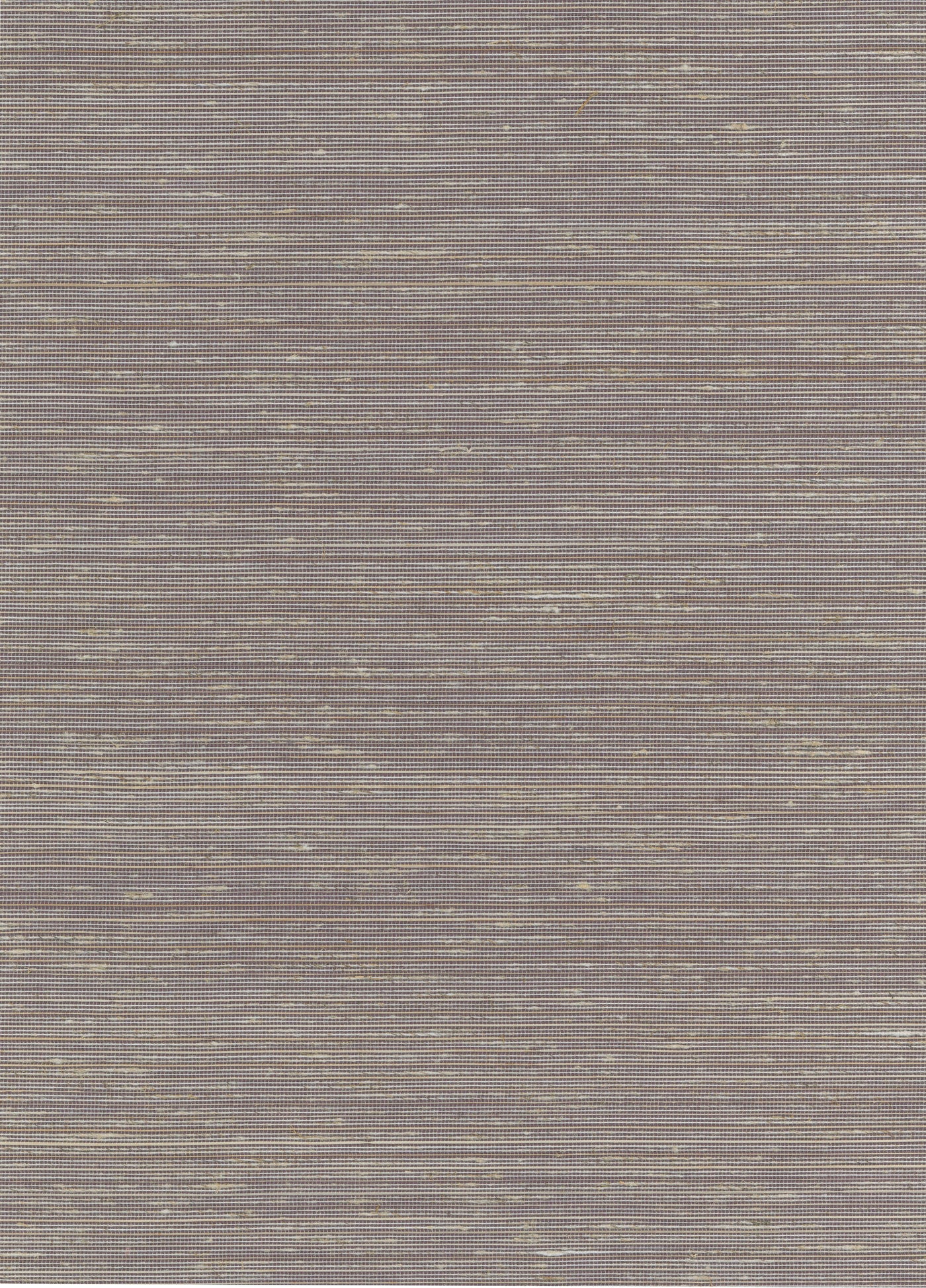 Abaca 2028 natural wallcovering swatch