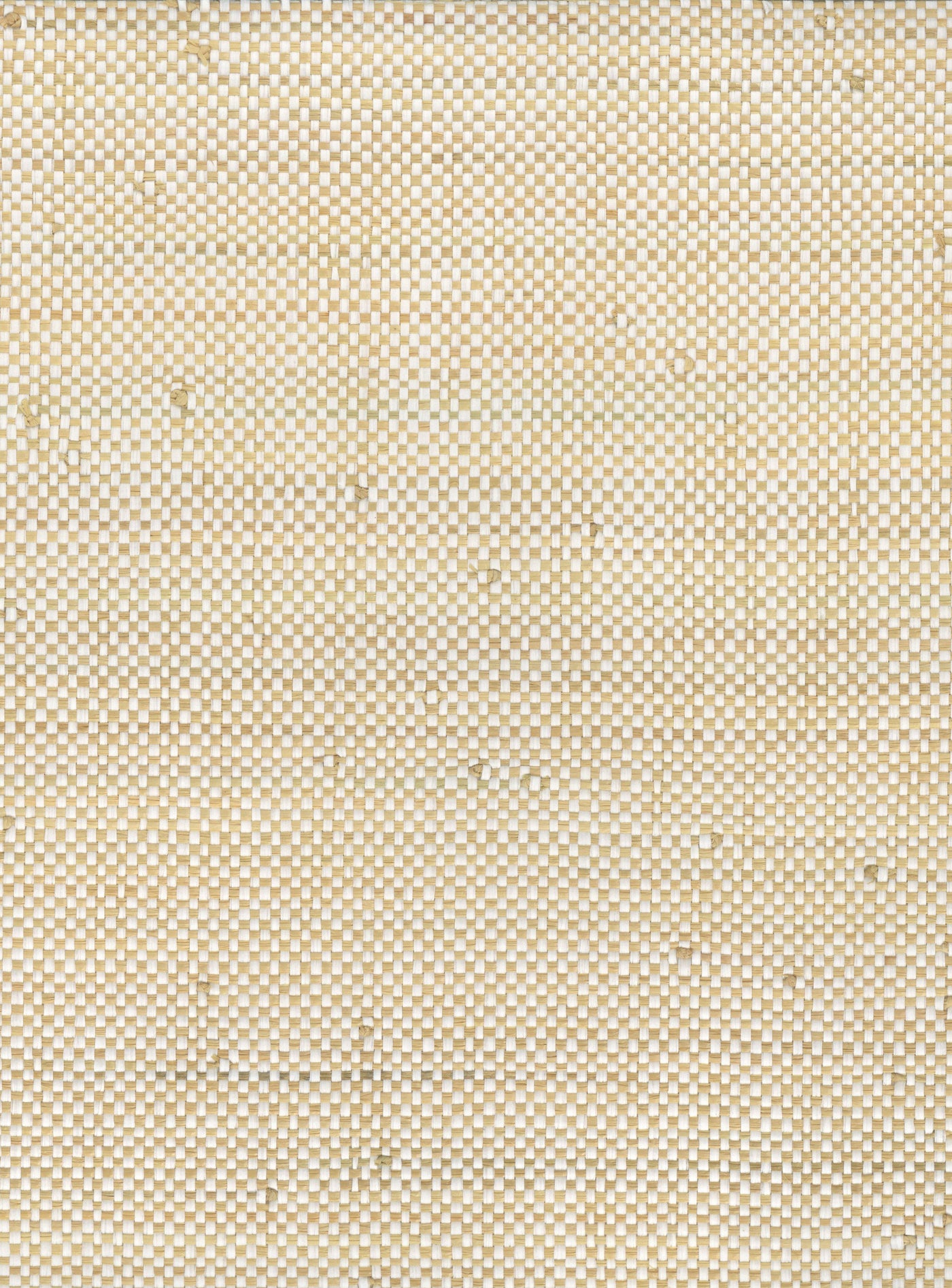 Raffia 5081 natural wallcovering swatch