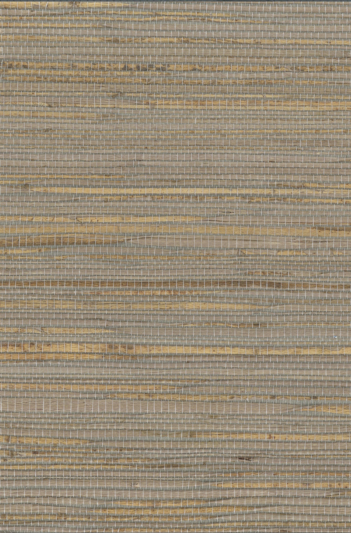 Hemp 1038 Winter Twig natural wallcovering swatch