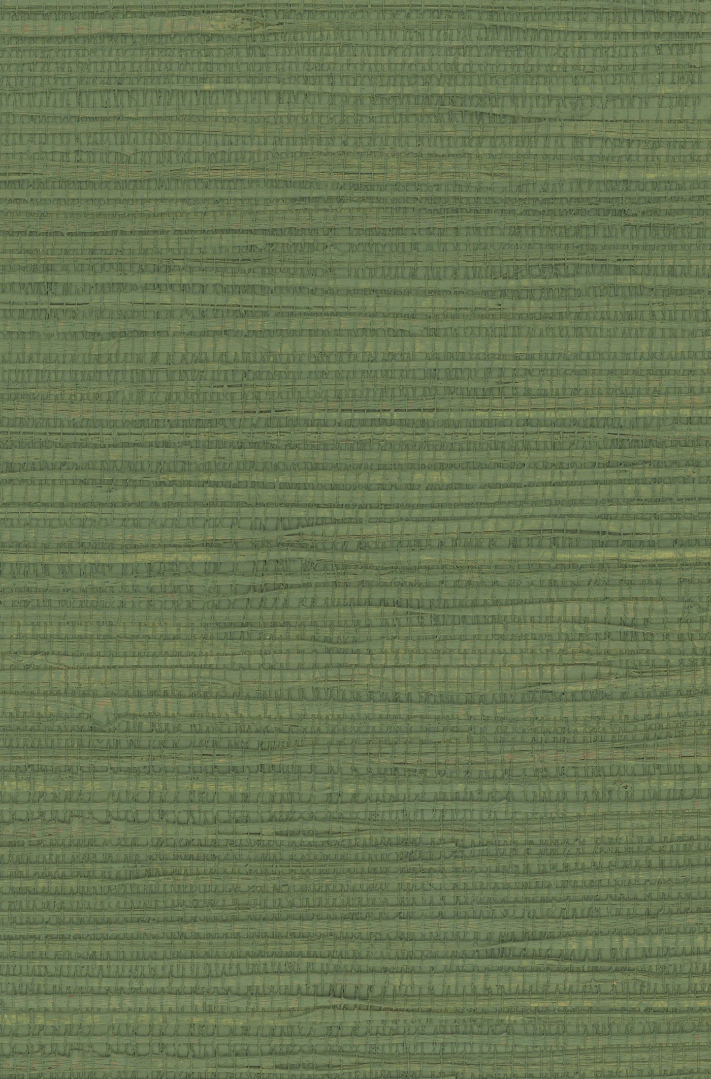 Hemp 1041 Elm Green natural wallcovering swatch