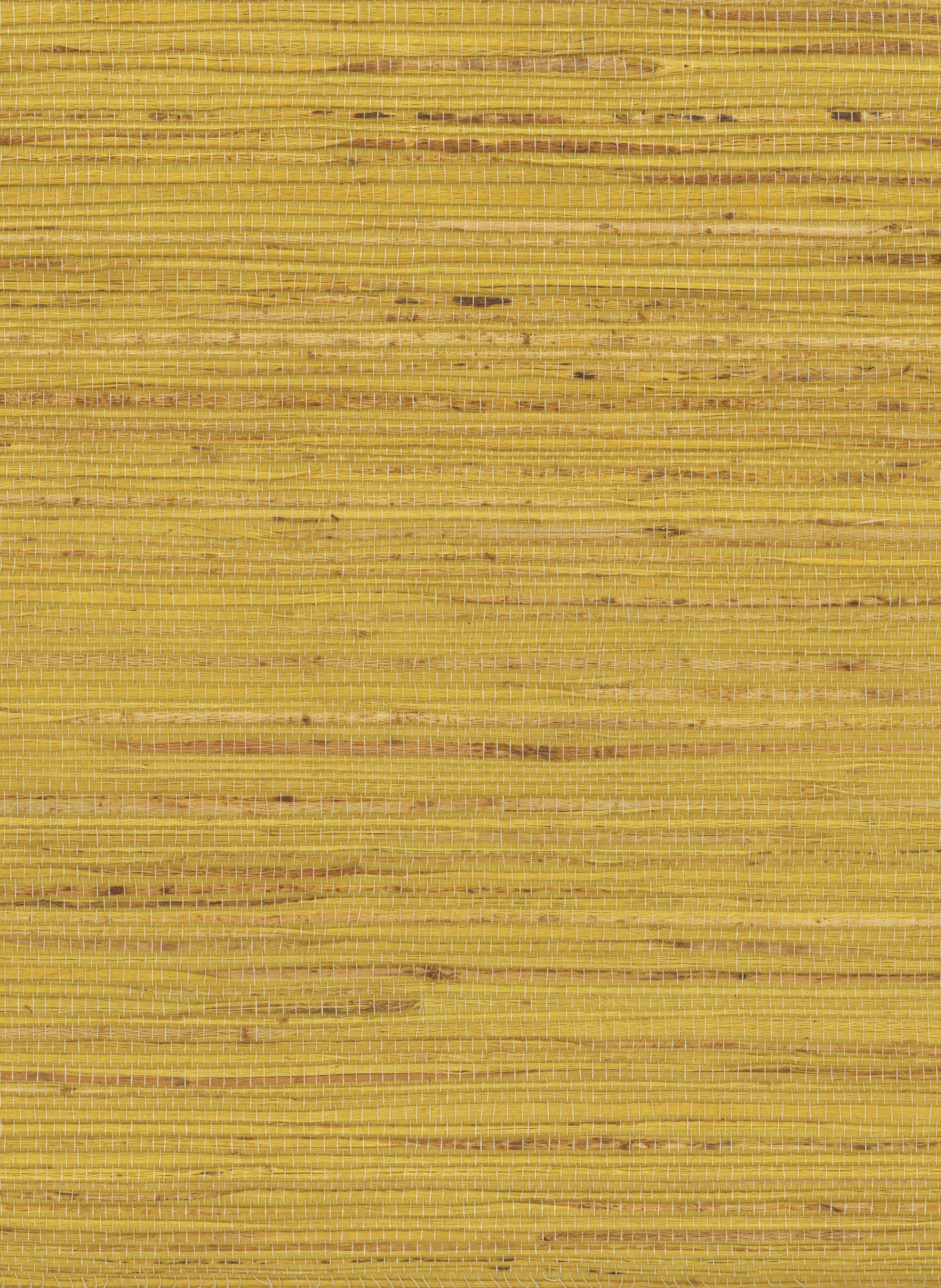 Hemp 1056 Ceylon Yellow natural wallcovering swatch