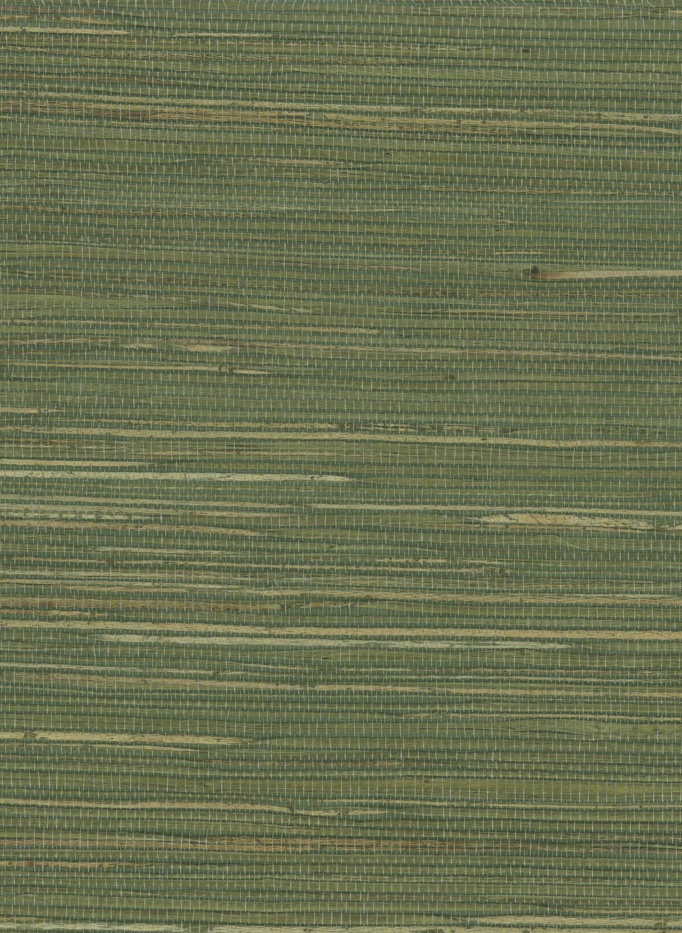 Hemp 1061 Dried Herb natural wallcovering swatch