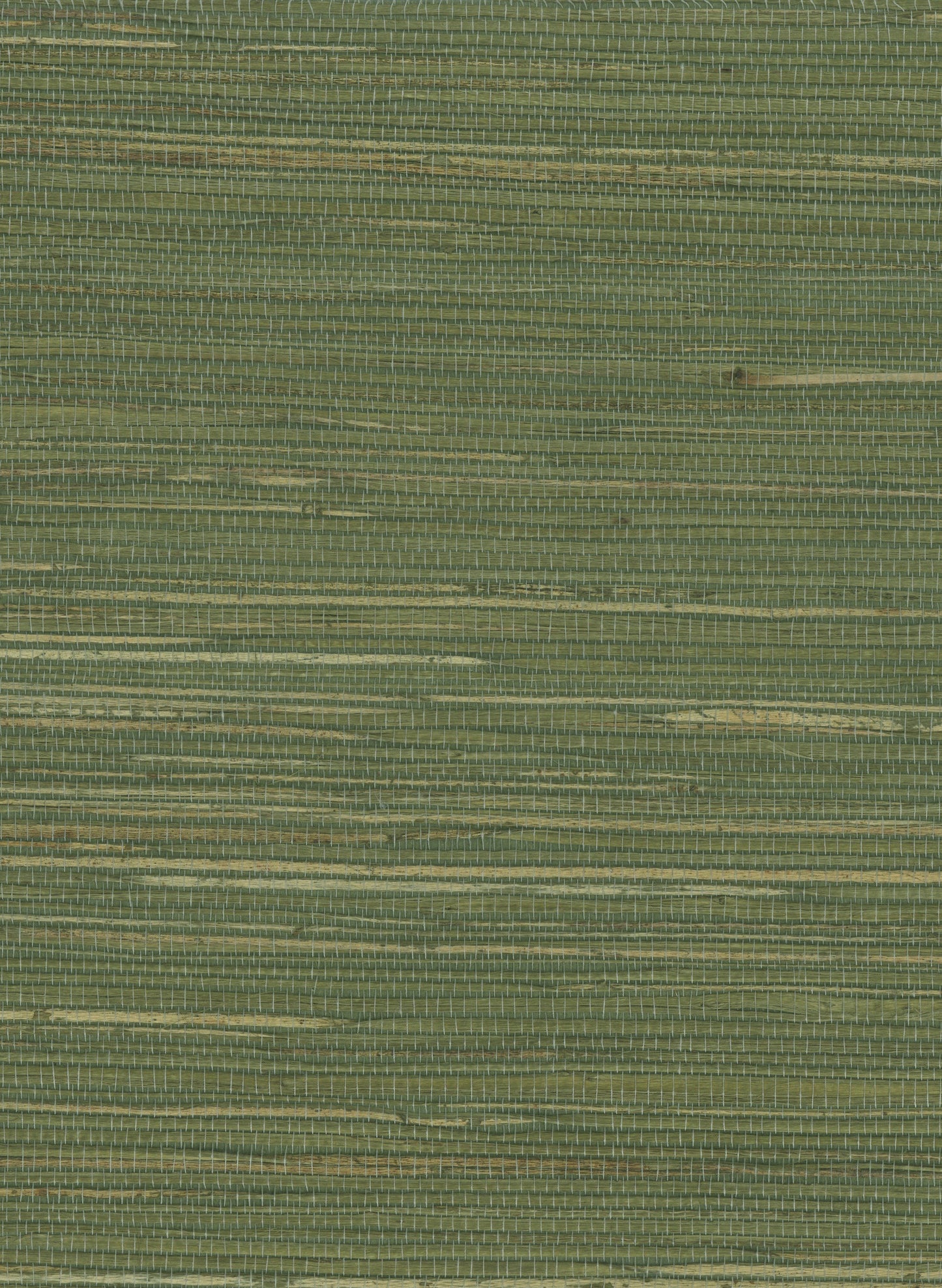 Hemp 1061 Dried Herb natural wallcovering swatch
