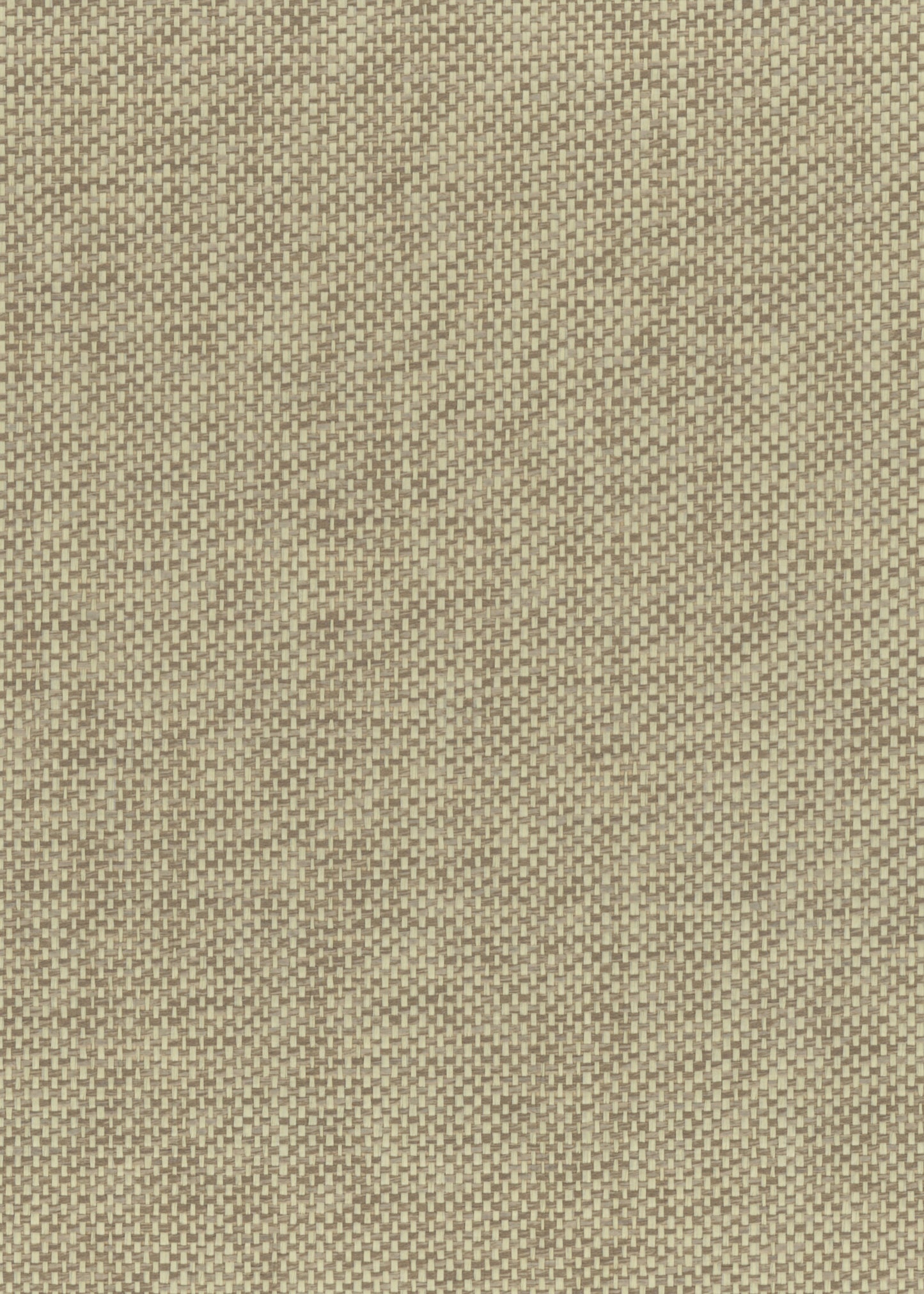 Paperweave 6113 natural wallcovering swatch