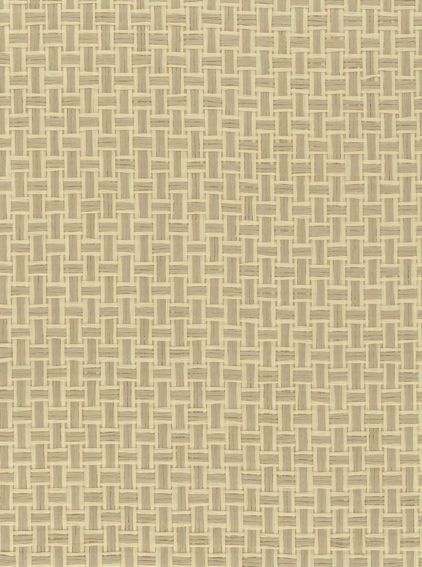 Paperweave 6695 Reed natural wallcovering swatch