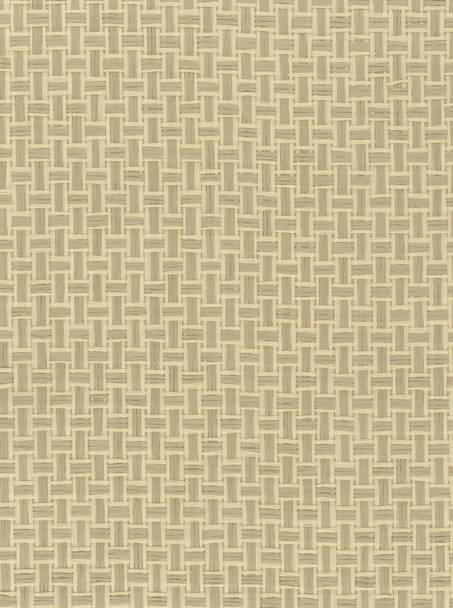 Paperweave 6695 Reed natural wallcovering swatch