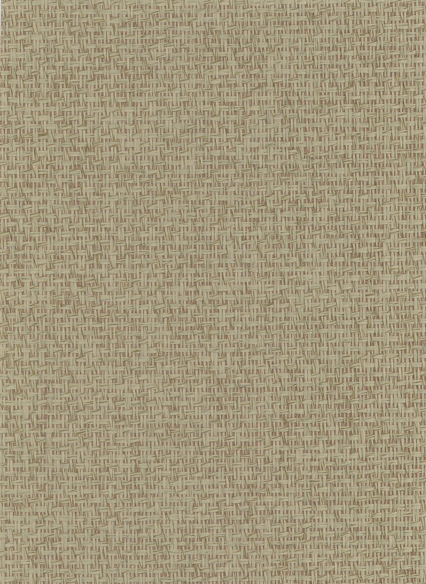 Paperweave 6716 Pale Khaki natural wallcovering swatch