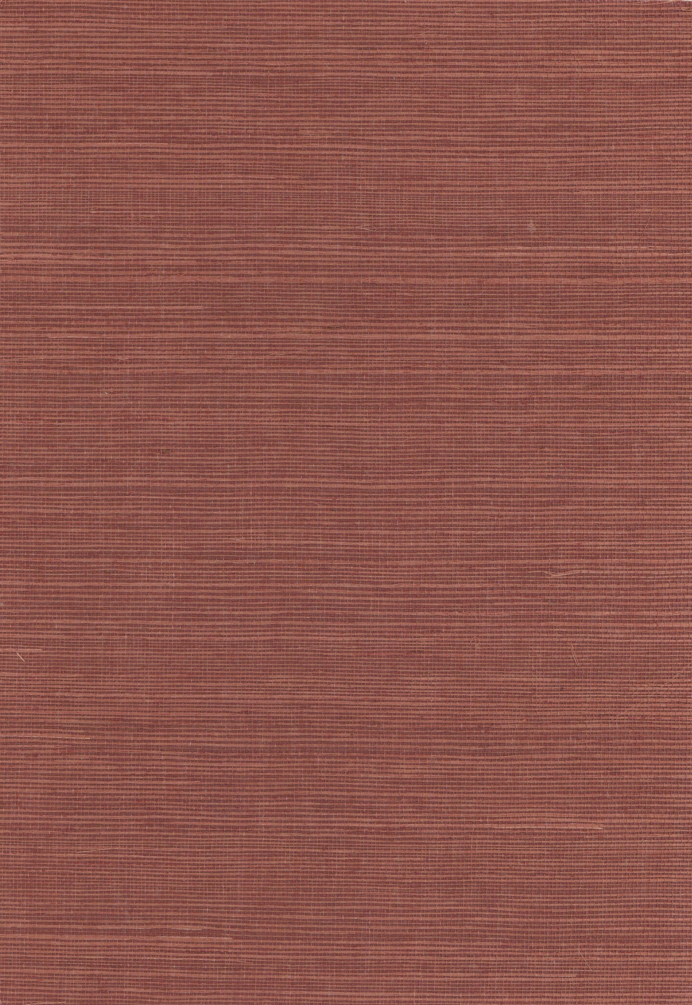 Sisal Grasscloth 1015 natural wallcovering swatch