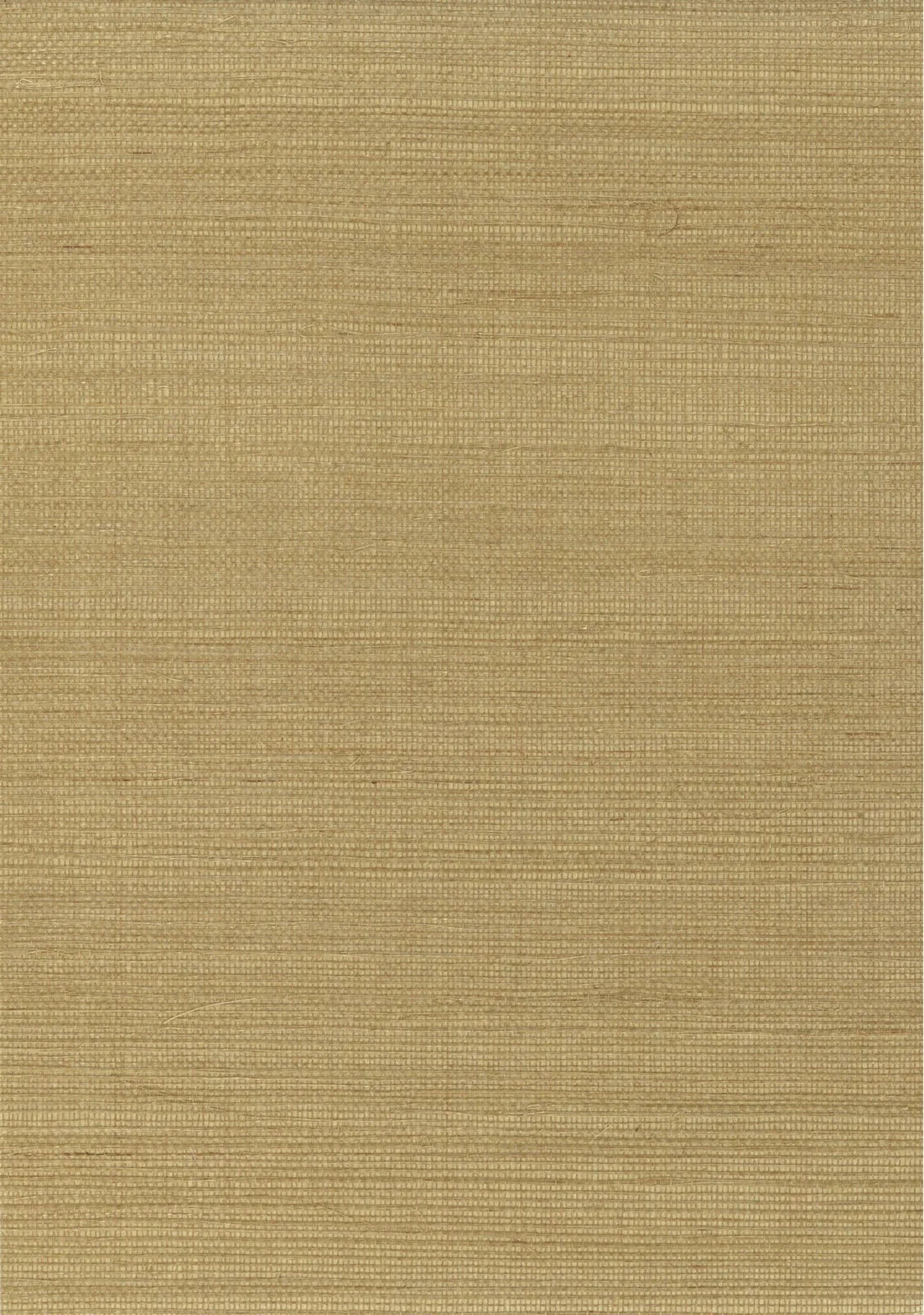 Sisal Grasscloth 1017 Prairie Sand - Nāturae - Australia's Finest Natural Wallcoverings