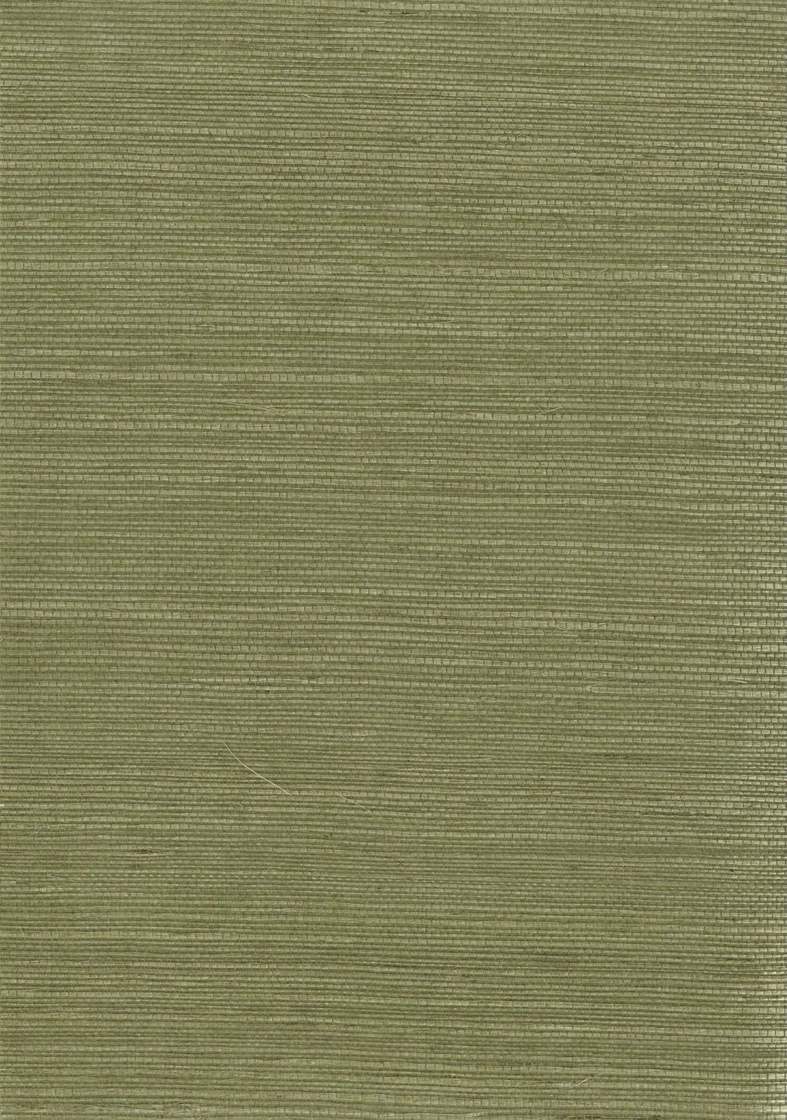 Sisal Grasscloth 1033 Mosstone - Nāturae - Australia's Finest Natural Wallcoverings