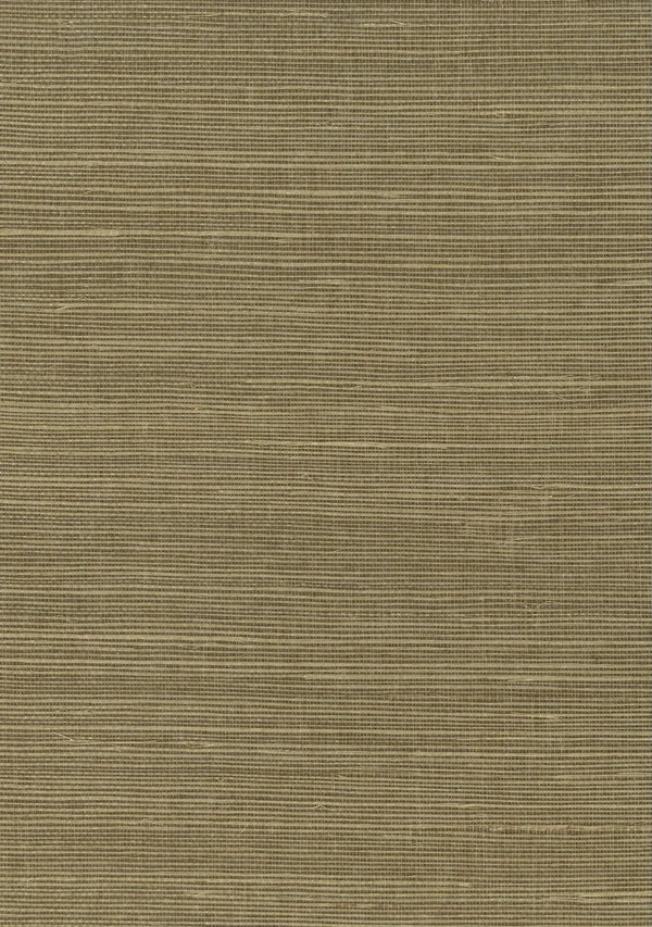 Sisal Grasscloth 1084 Ecru Olive | Nāturae Finest Natural Wallpaper