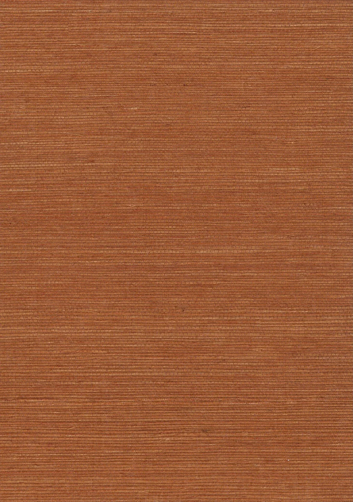 Sisal Grasscloth 1093 Apricot Orange - Nāturae - Australia's Finest Natural Wallcoverings
