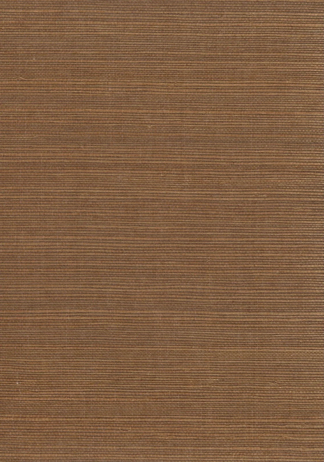 Sisal Grasscloth 1096 Almond - Nāturae - Australia's Finest Natural Wallcoverings