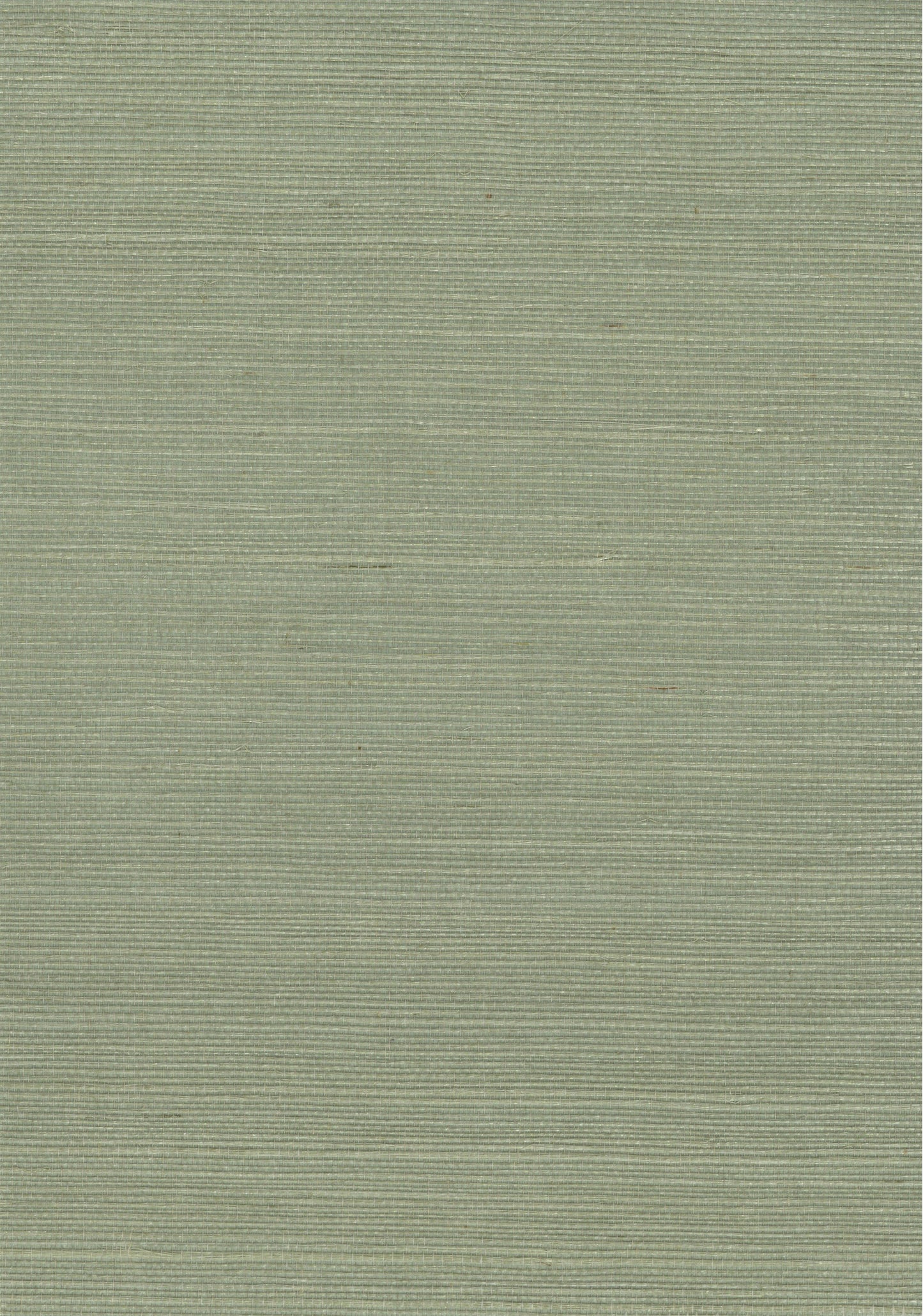 Sisal Grasscloth 1129 natural wallcovering swatch