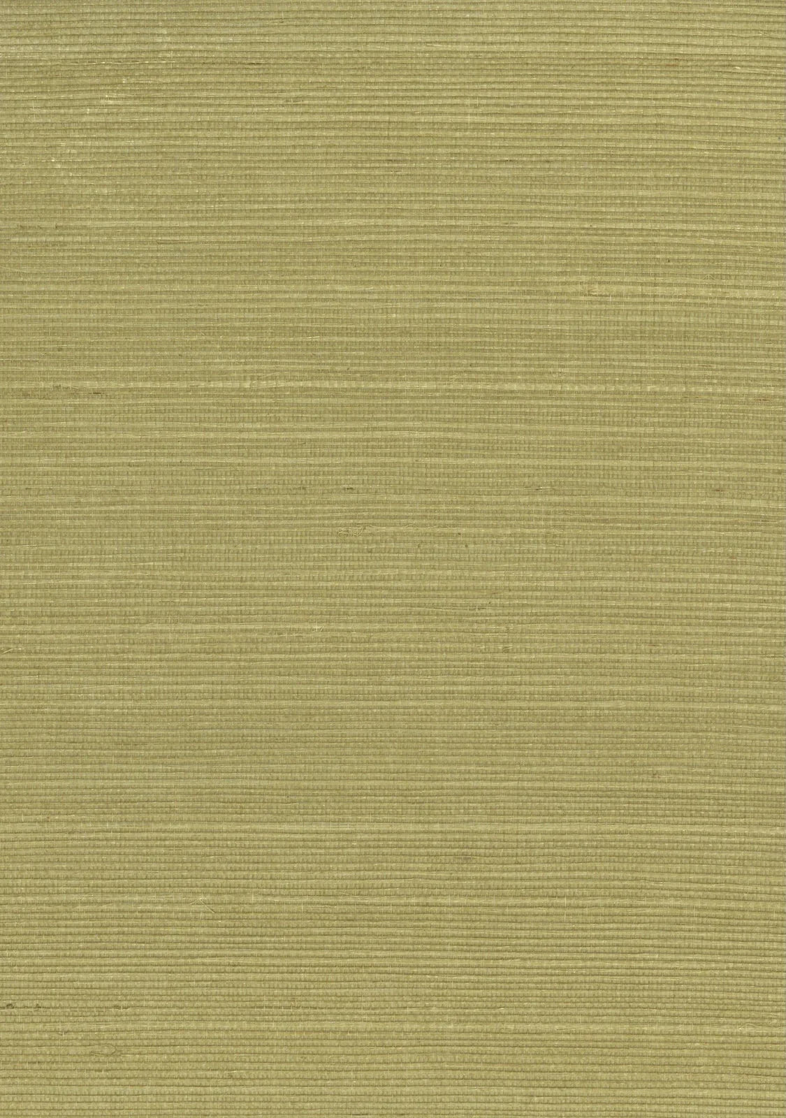 Sisal Grasscloth 1130 Weeping Willow - Nāturae - Australia's Finest Natural Wallcoverings