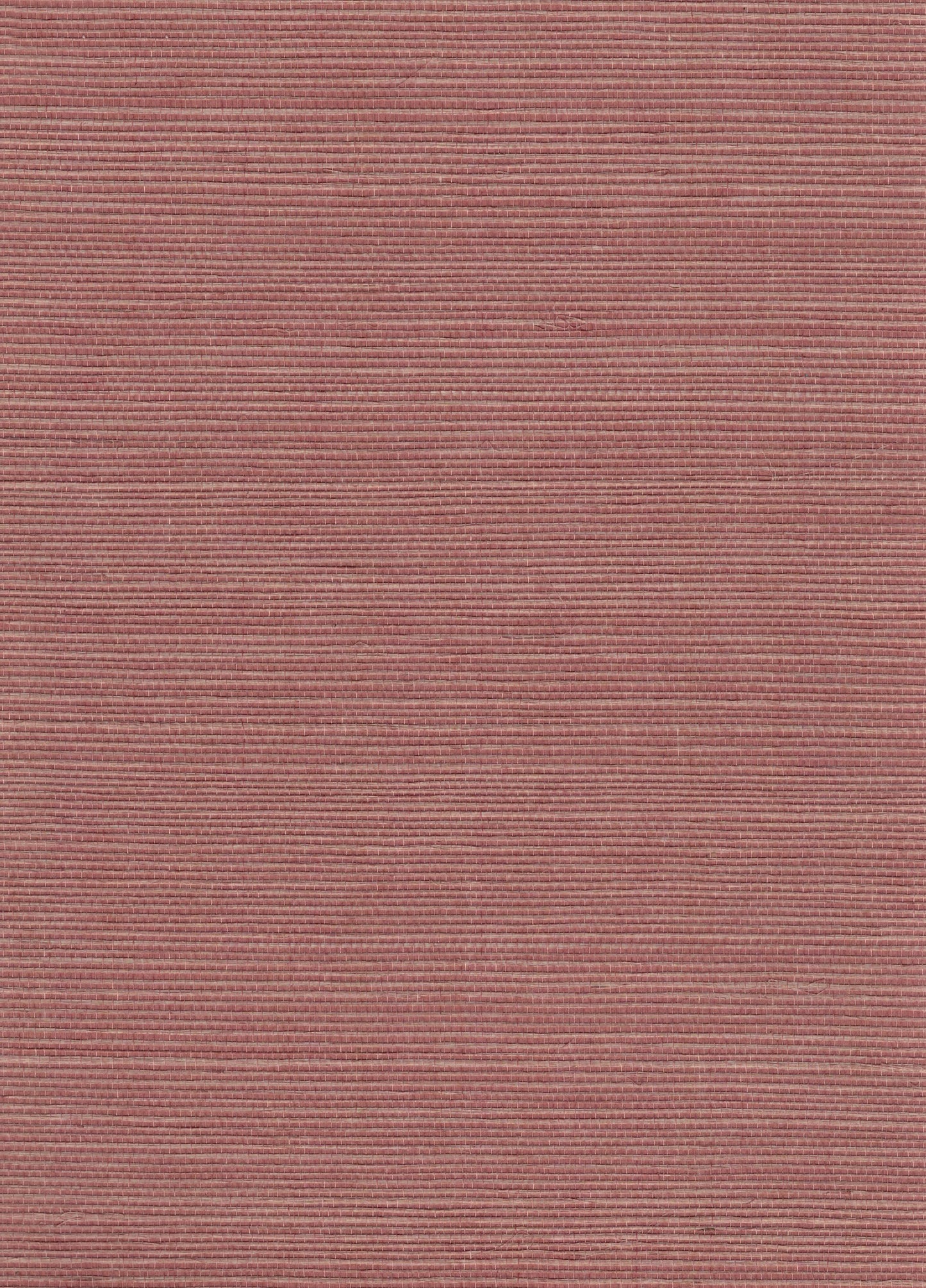 Sisal Grasscloth 1134 natural wallcovering swatch