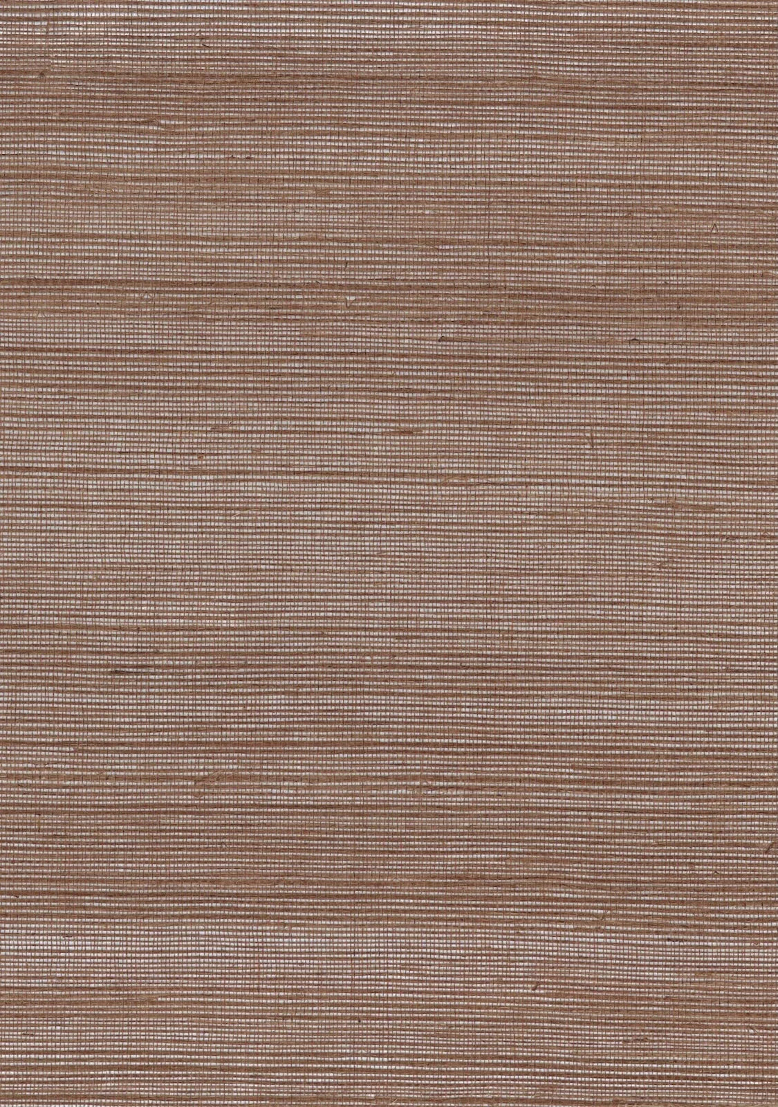 Sisal Grasscloth 2012 Macaroon - Nāturae - Australia's Finest Natural Wallcoverings