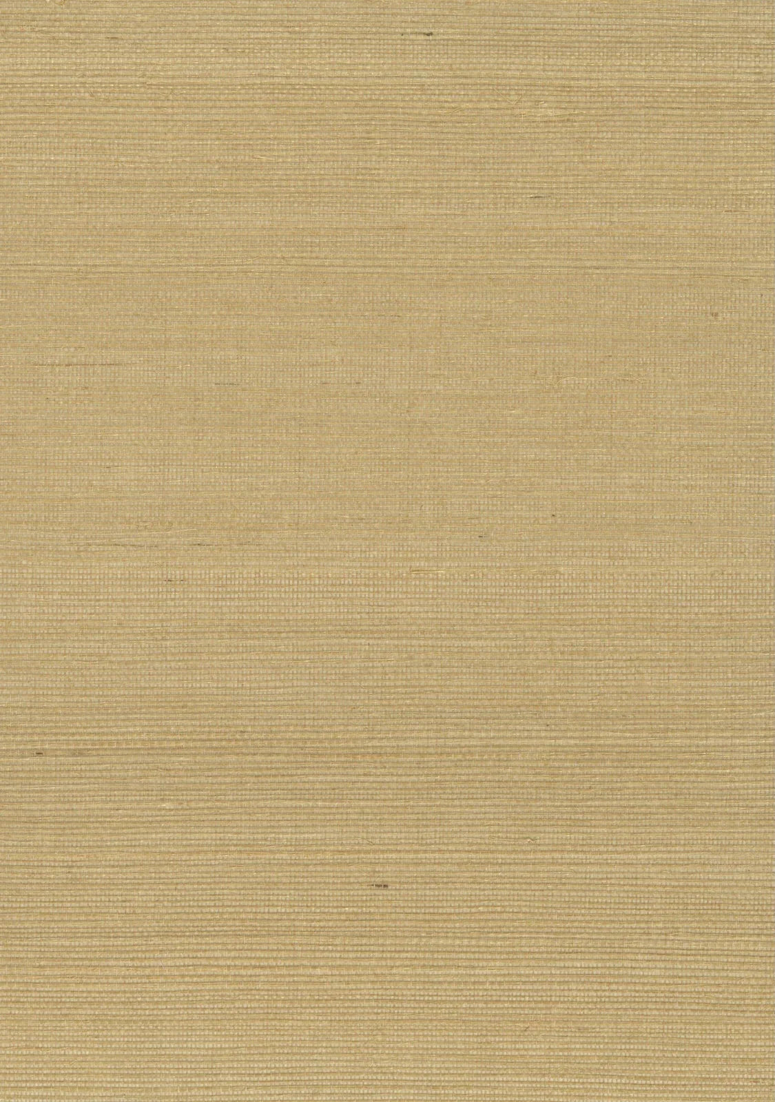Sisal Grasscloth 2025 Lark - Nāturae - Australia's Finest Natural Wallcoverings