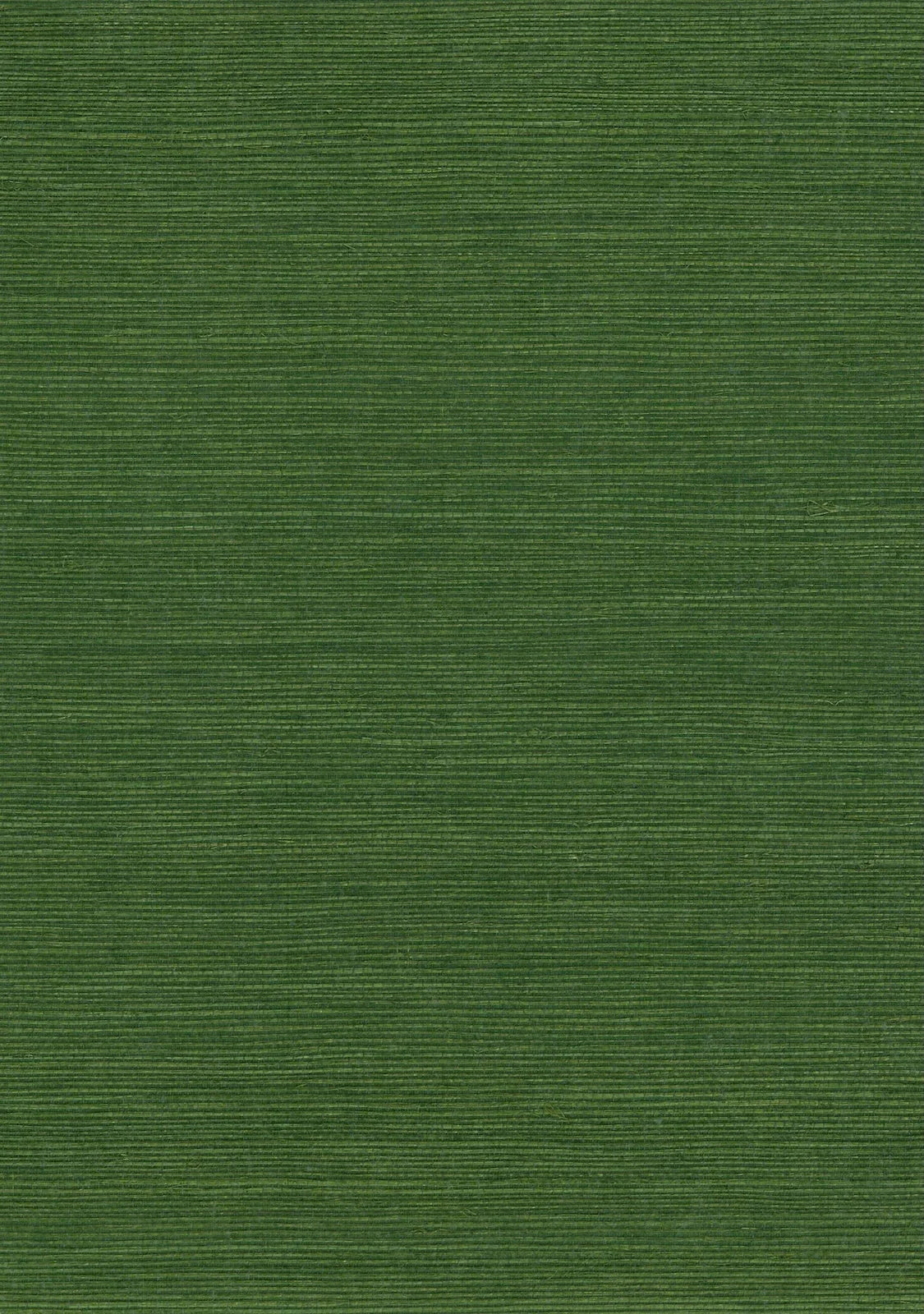 Sisal Grasscloth 7007 Treetop - Nāturae - Australia's Finest Natural Wallcoverings