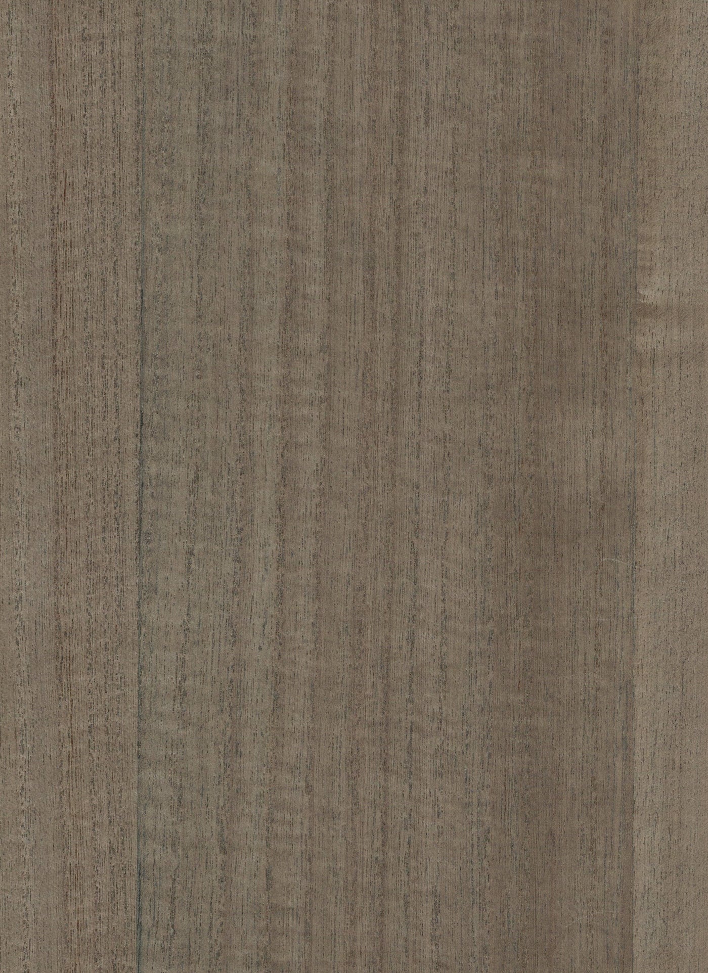 Timber Veneer 1015 natural wallcovering swatch