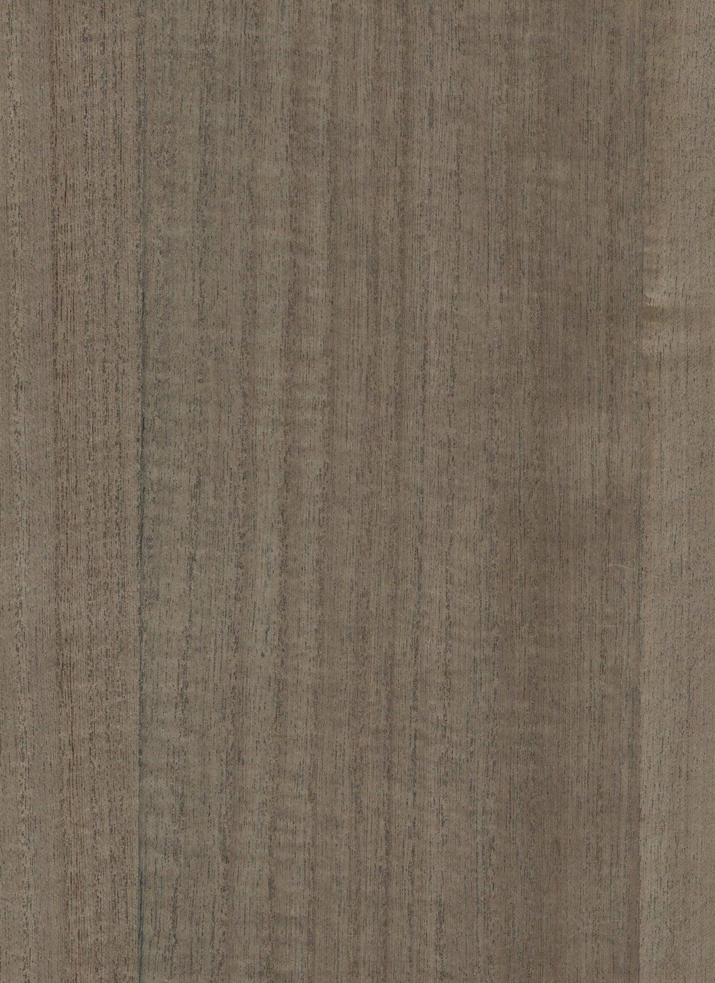 Timber Veneer 1015 natural wallcovering swatch