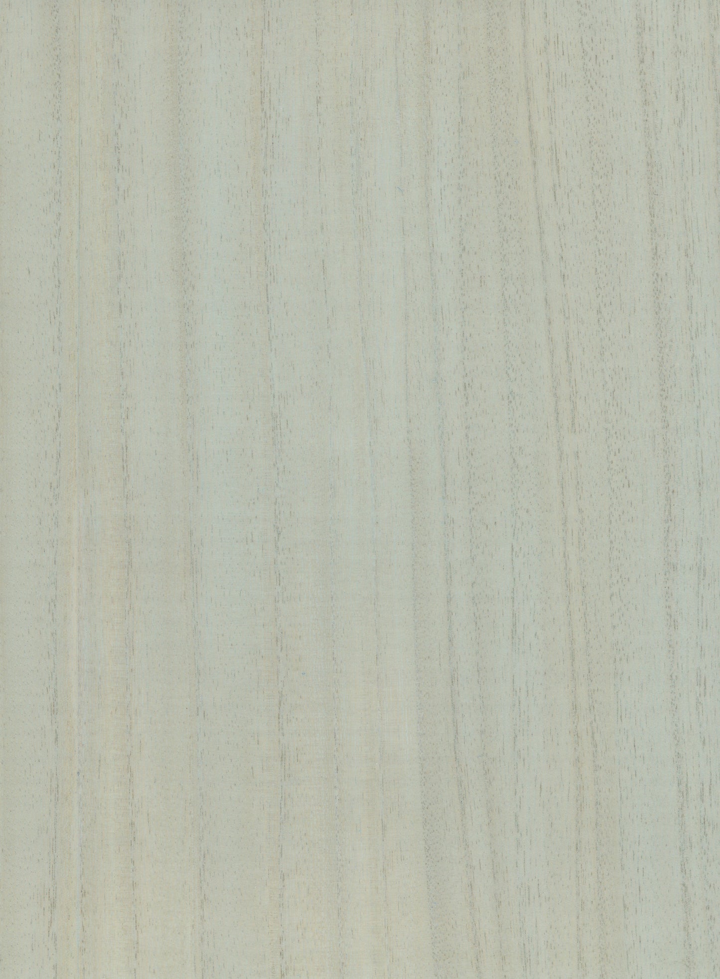 Timber Veneer 1029 natural wallcovering swatch