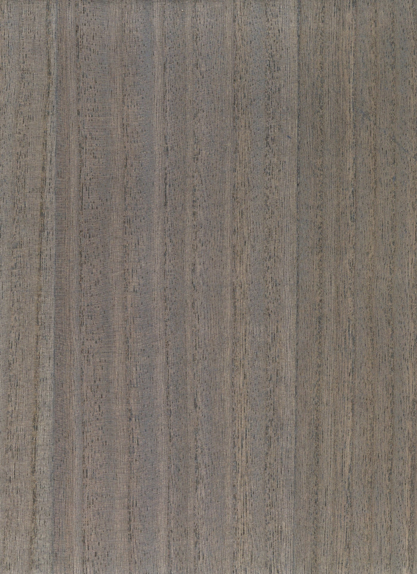 Timber Veneer 1034 natural wallcovering swatch