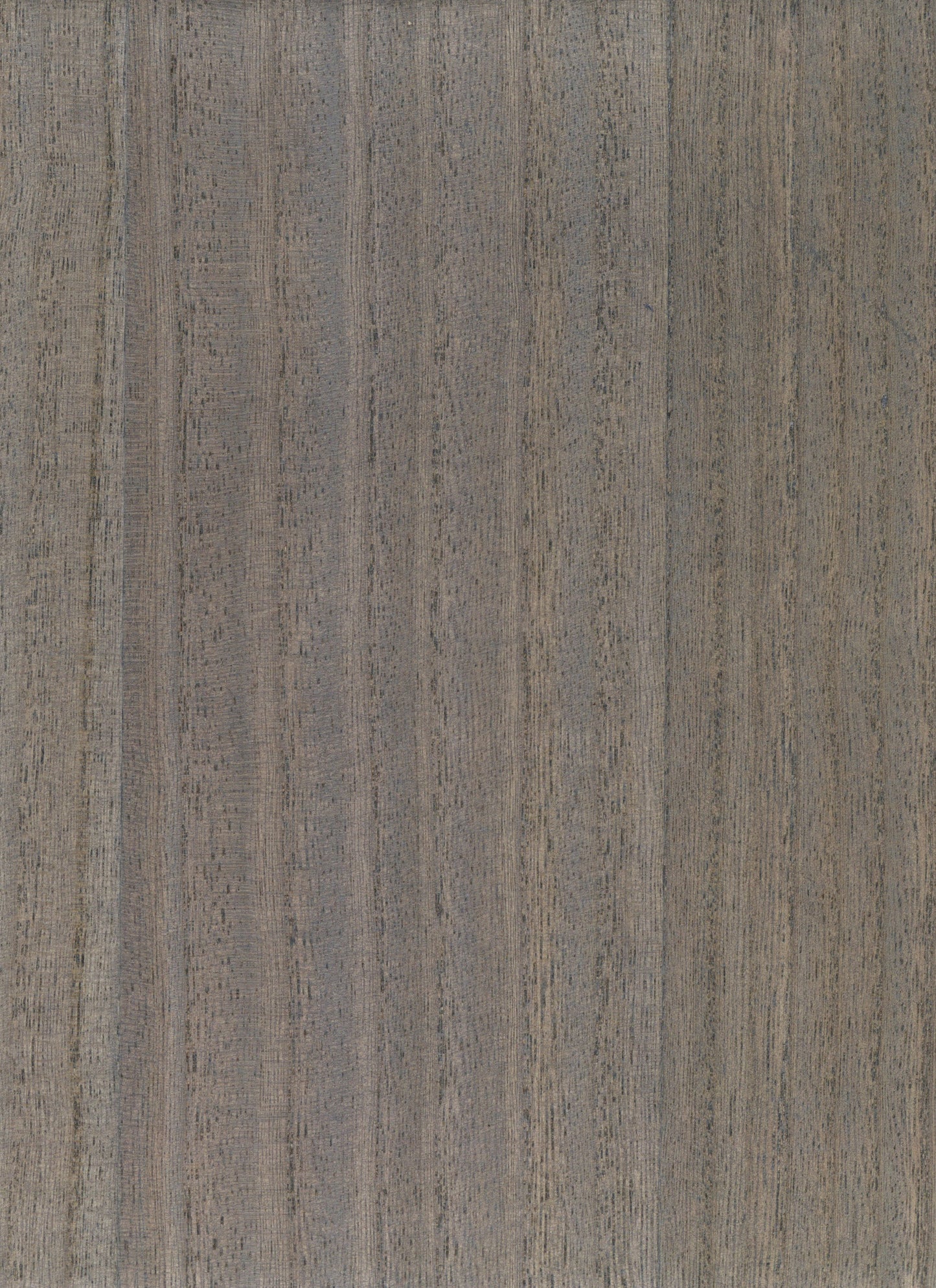 Timber Veneer 1034 natural wallcovering swatch