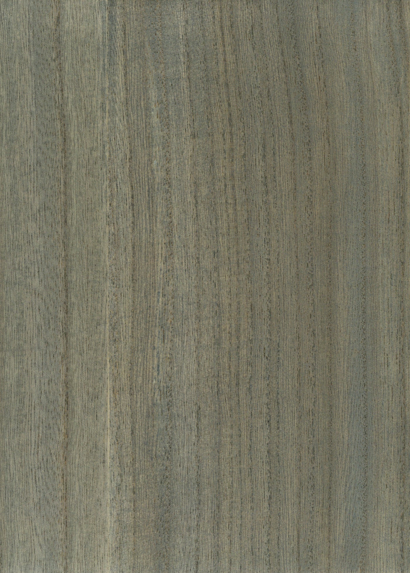 Timber Veneer 1035 natural wallcovering swatch