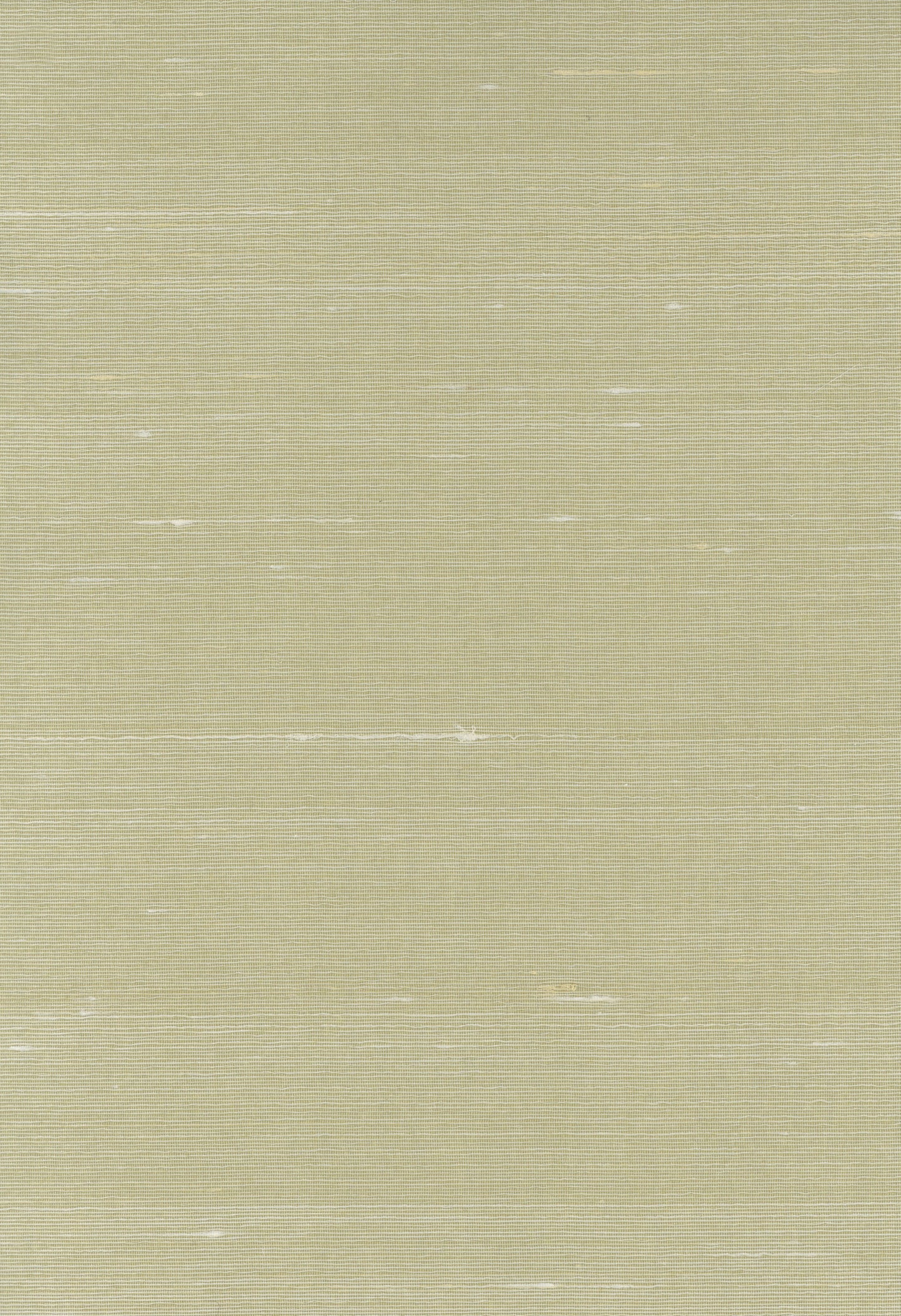 Silk 3475 Pale Green natural wallcovering swatch