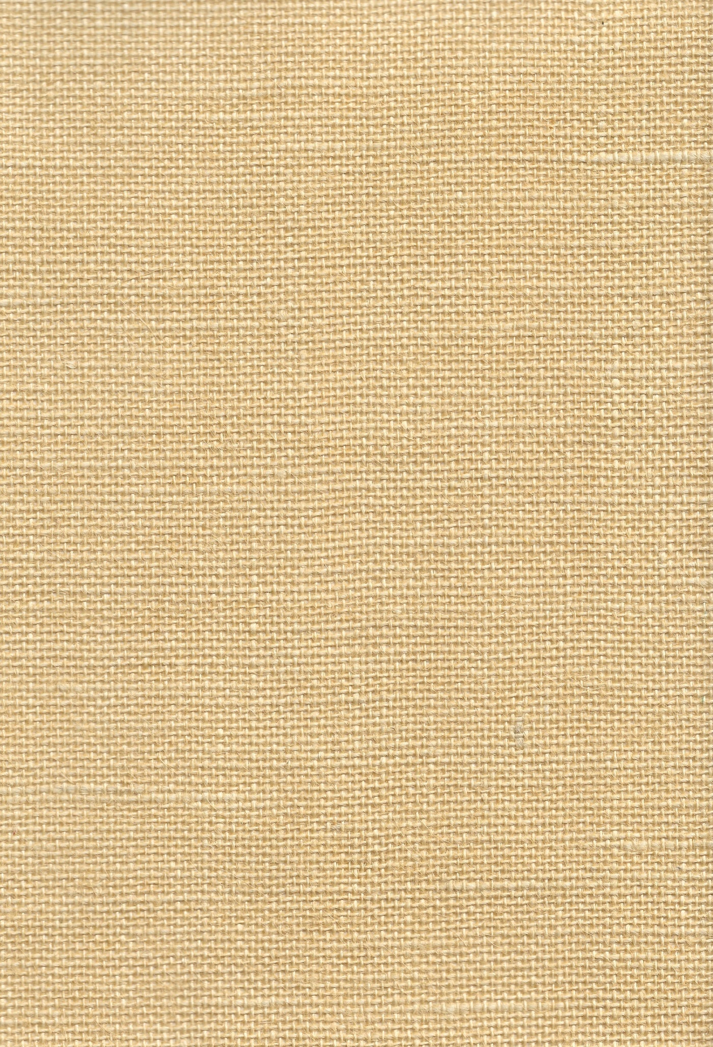 Jute