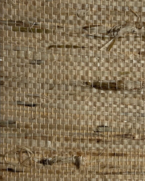 Arrowroot Wallpaper 17042 Coin