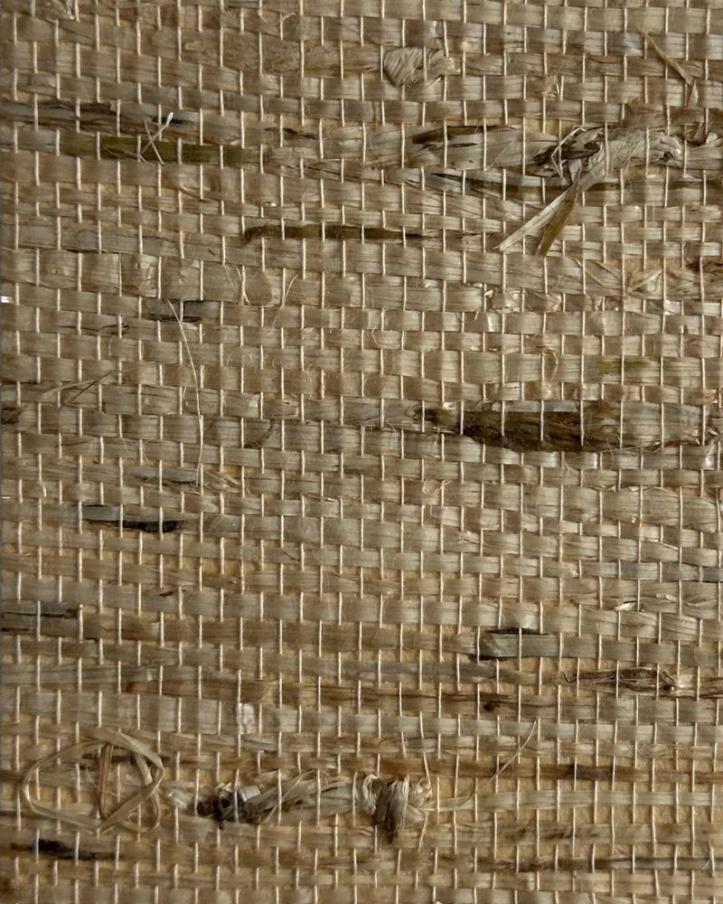 Arrowroot Wallpaper 17042 Coin - Nāturae - Australia's Finest Natural Wallcoverings