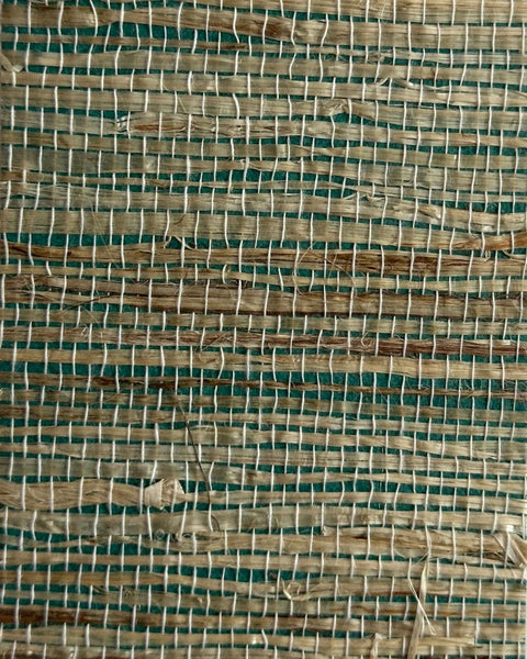 Arrowroot Wallpaper 17046 Atrovirens