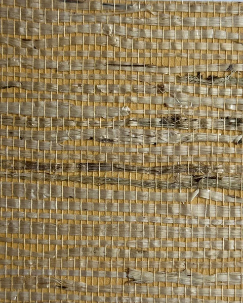 Arrowroot Wallpaper 17048 Roughing