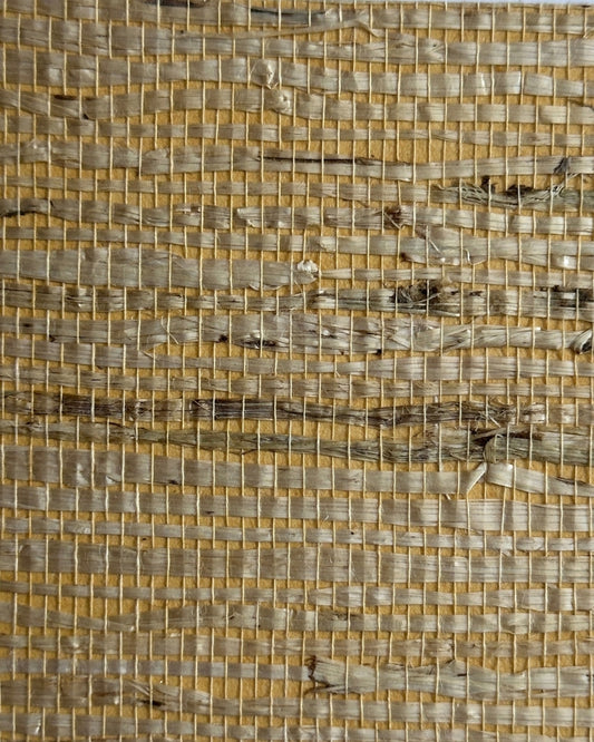 Arrowroot Wallpaper 17048 Roughing