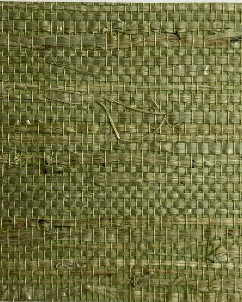 Arrowroot Wallpaper 17051 Verdant
