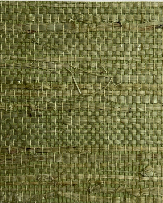Arrowroot Wallpaper 17051 Verdant